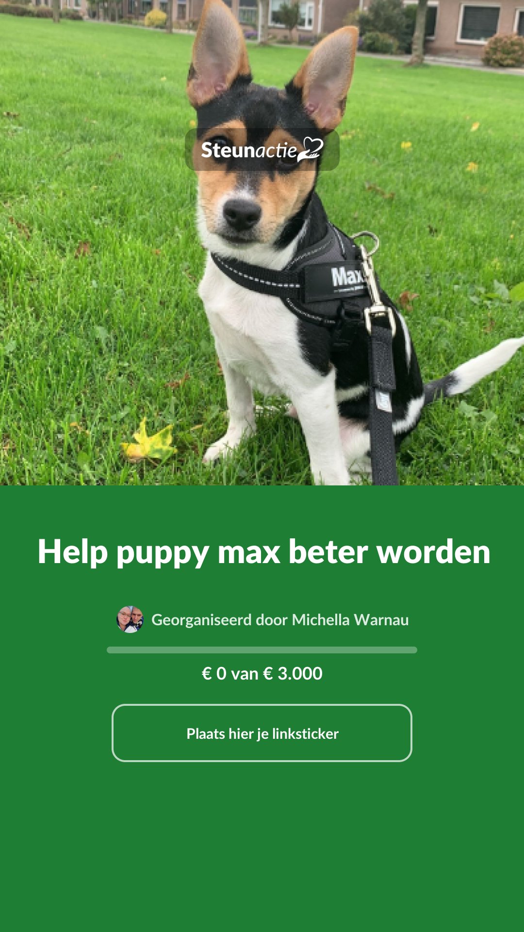 Voorbeeld van de afbeelding