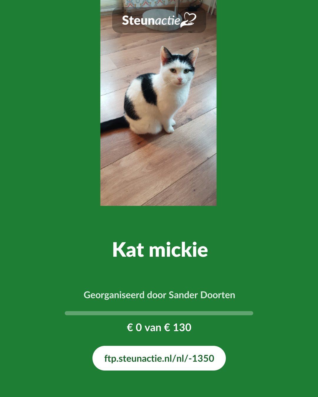 Voorbeeld van de afbeelding