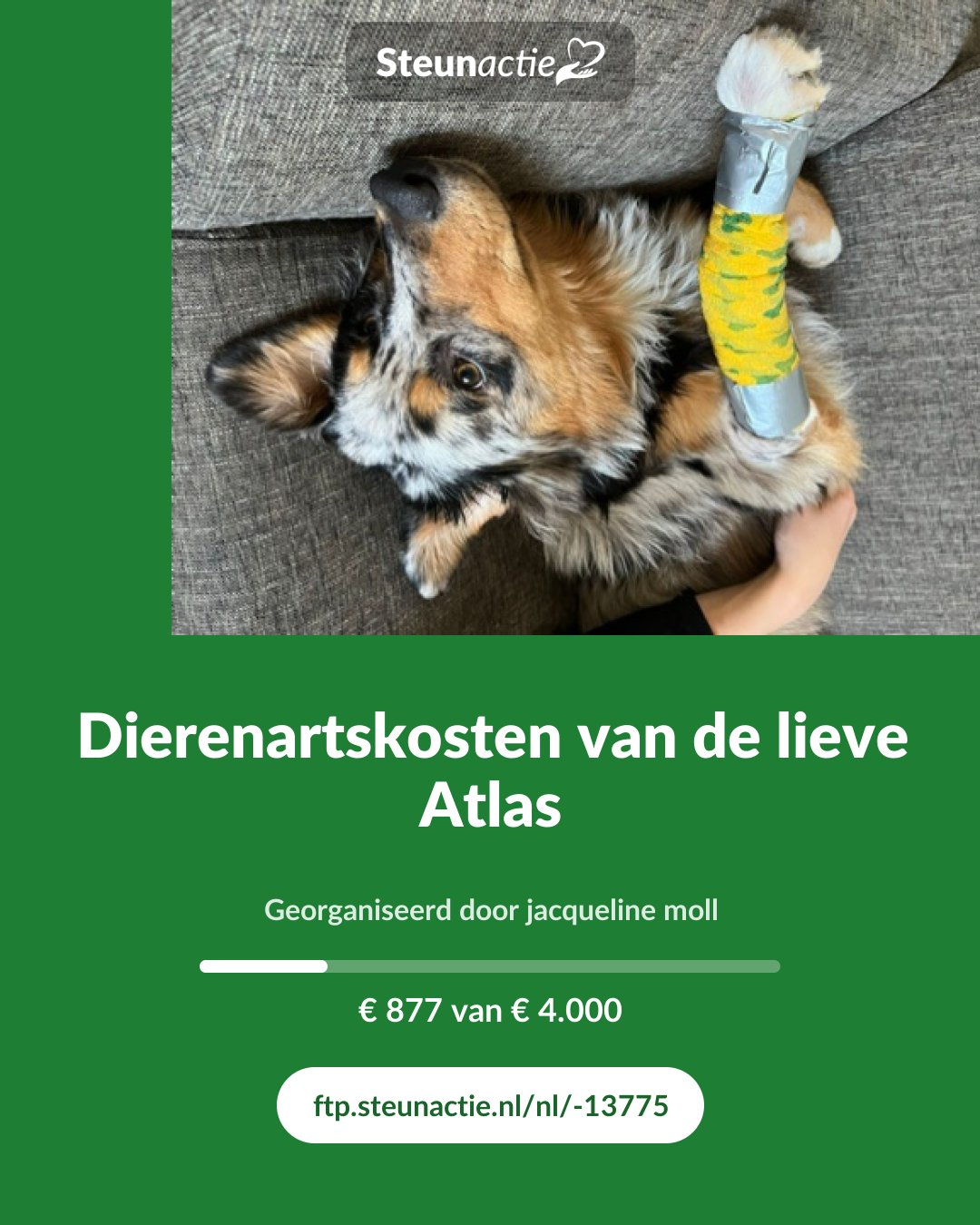 Voorbeeld van de afbeelding