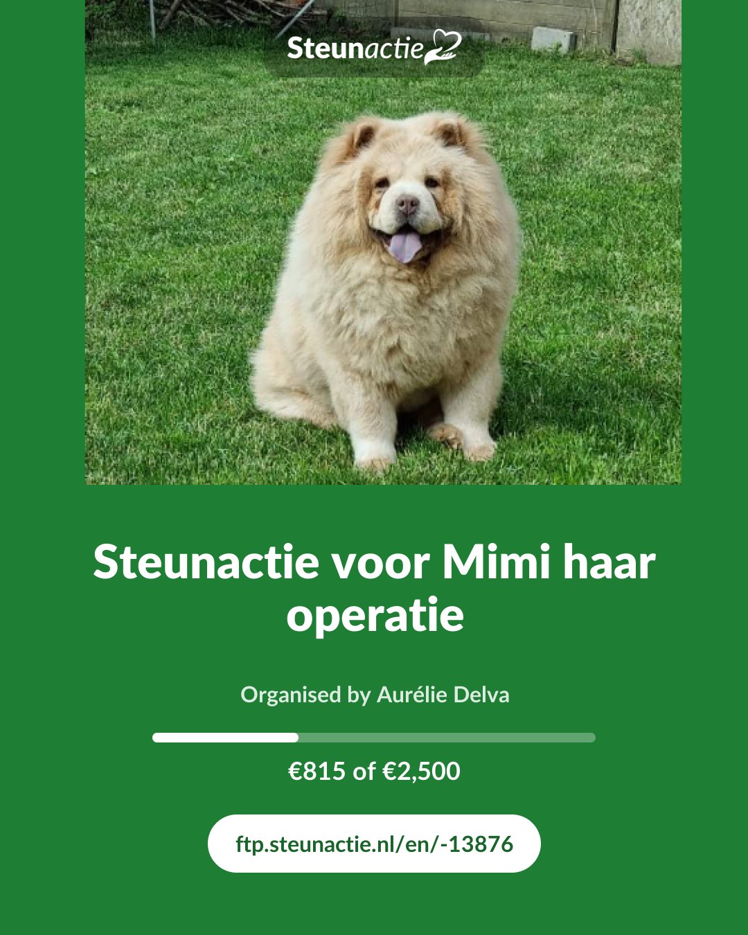 Preview of the image