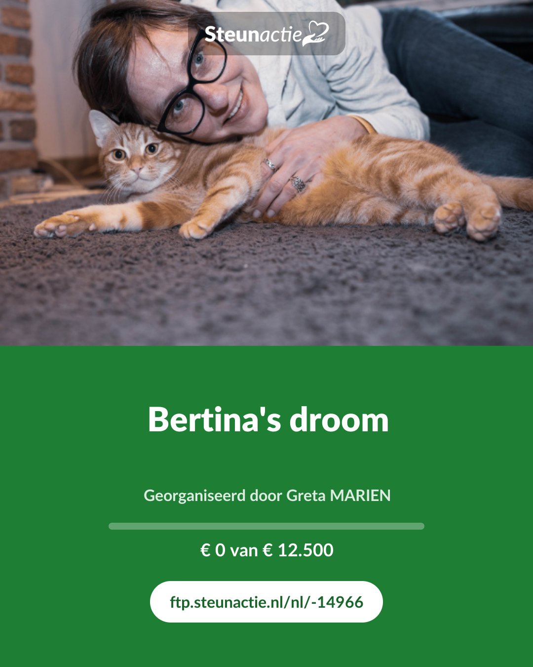 Voorbeeld van de afbeelding