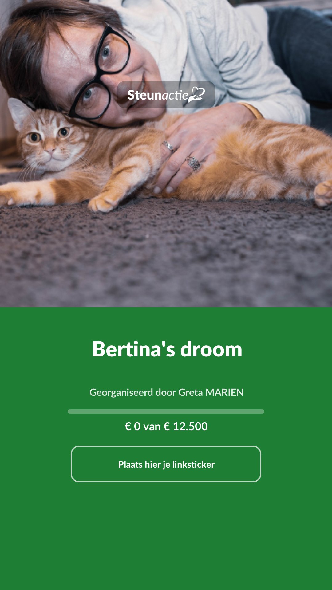 Voorbeeld van de afbeelding
