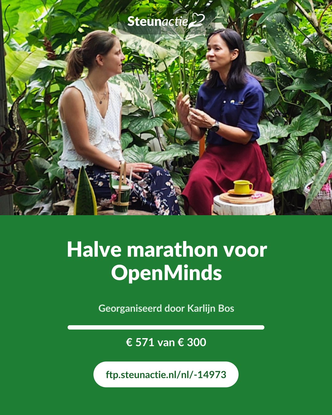 Voorbeeld van de afbeelding