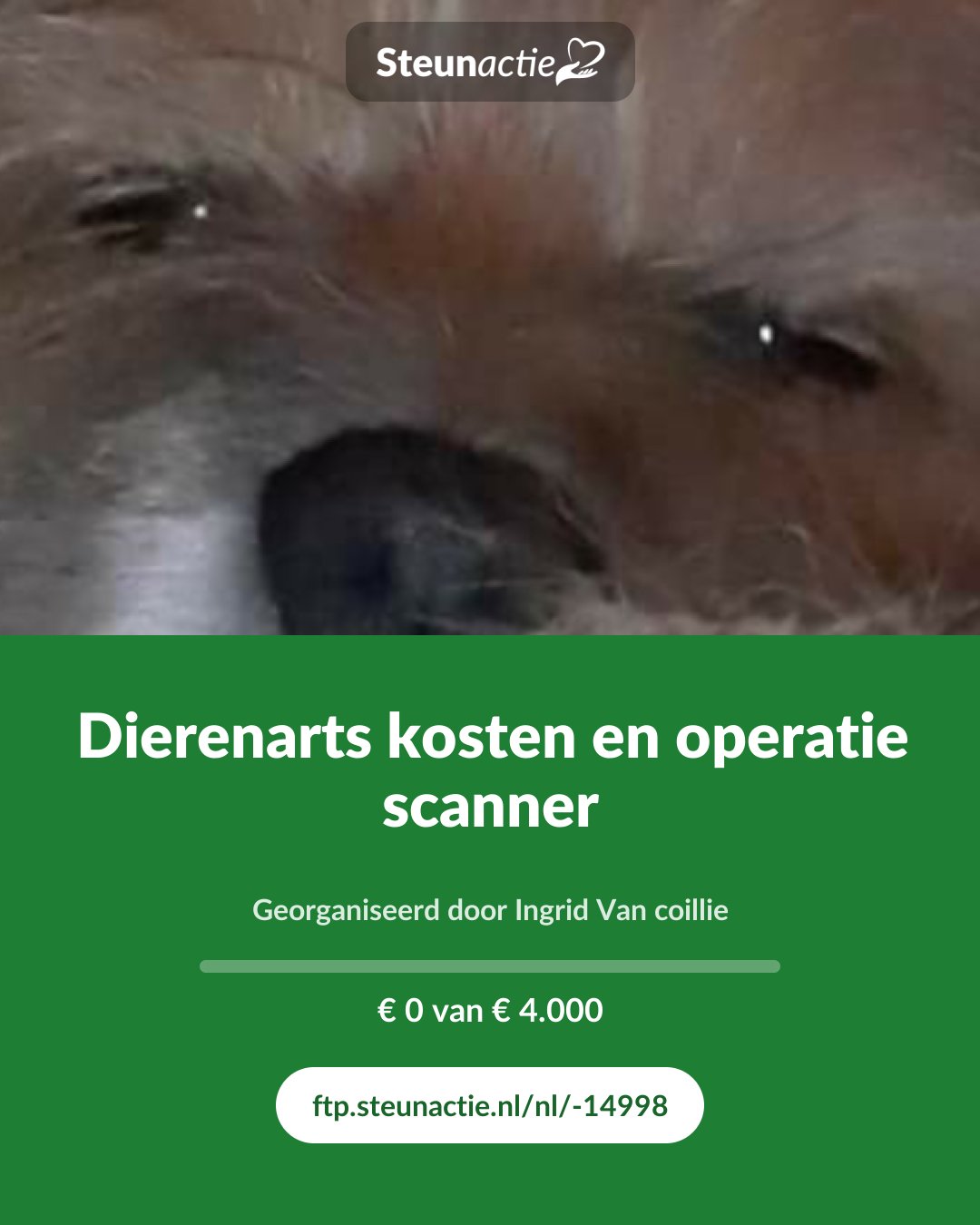 Voorbeeld van de afbeelding