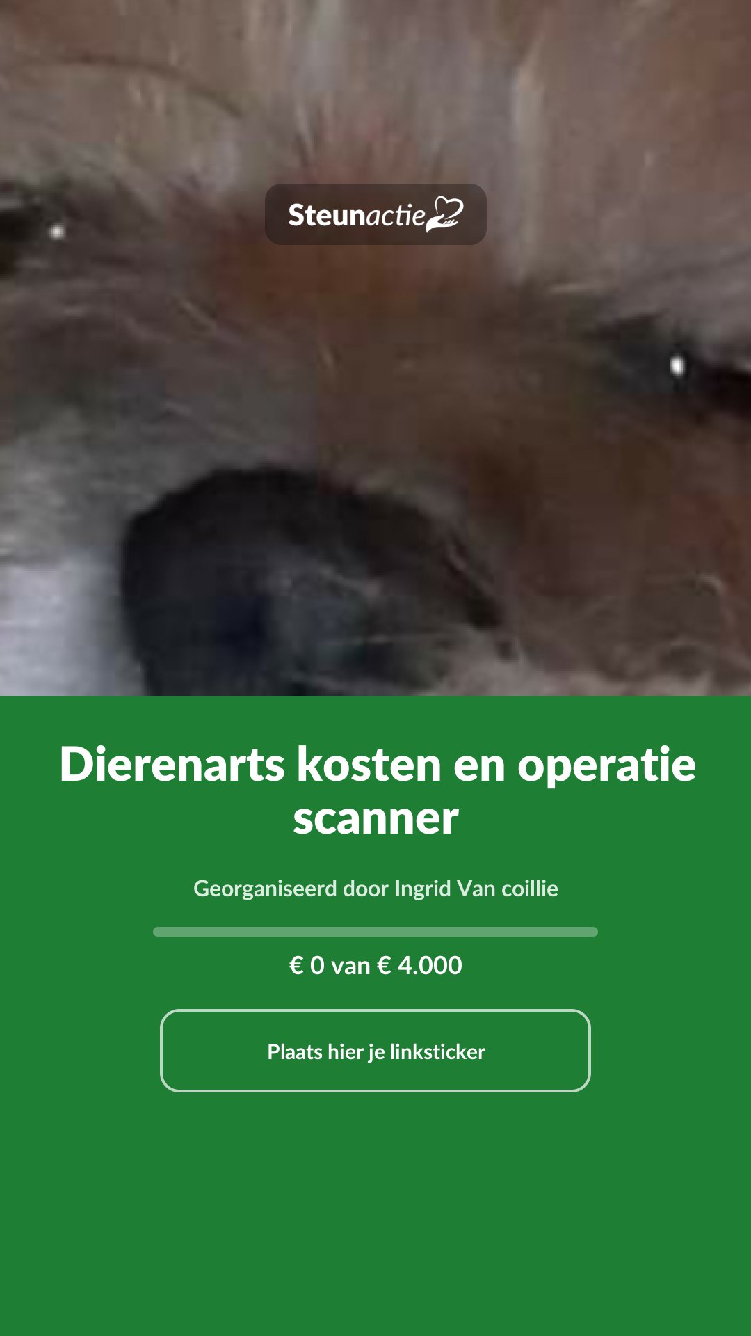 Voorbeeld van de afbeelding