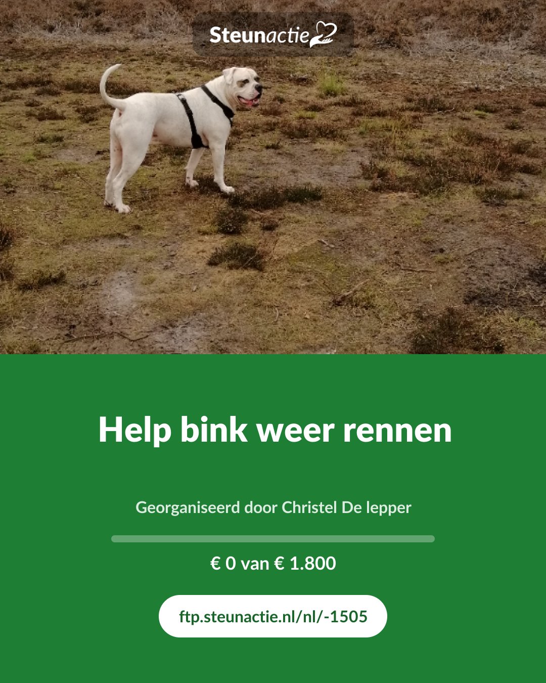 Voorbeeld van de afbeelding
