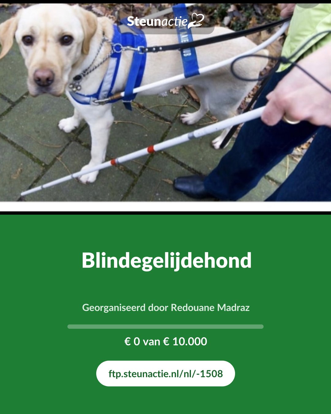 Voorbeeld van de afbeelding