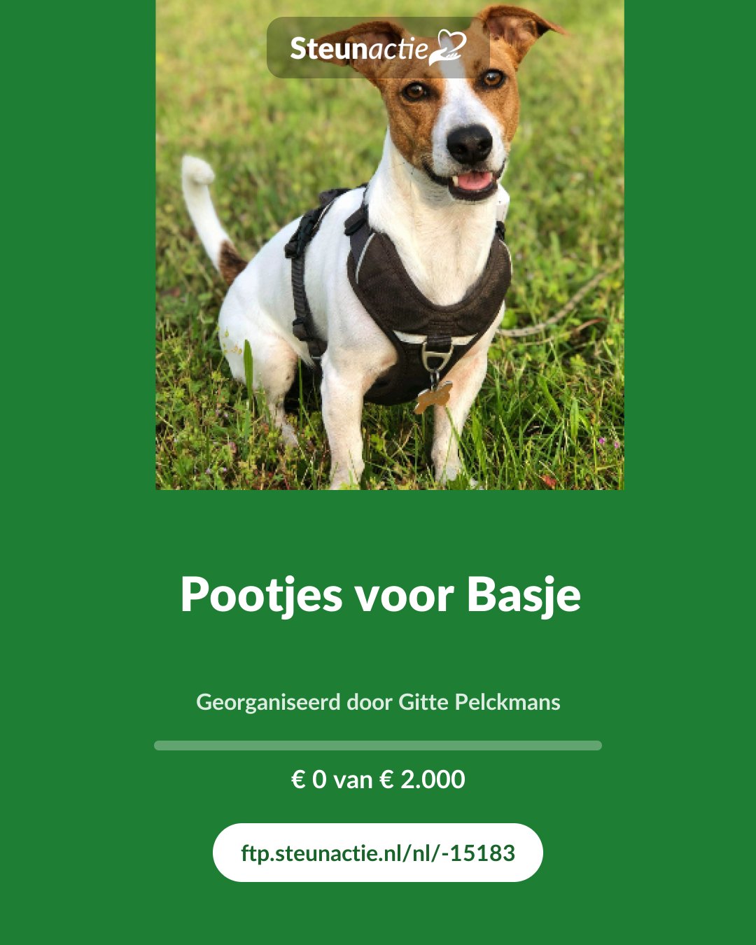 Voorbeeld van de afbeelding