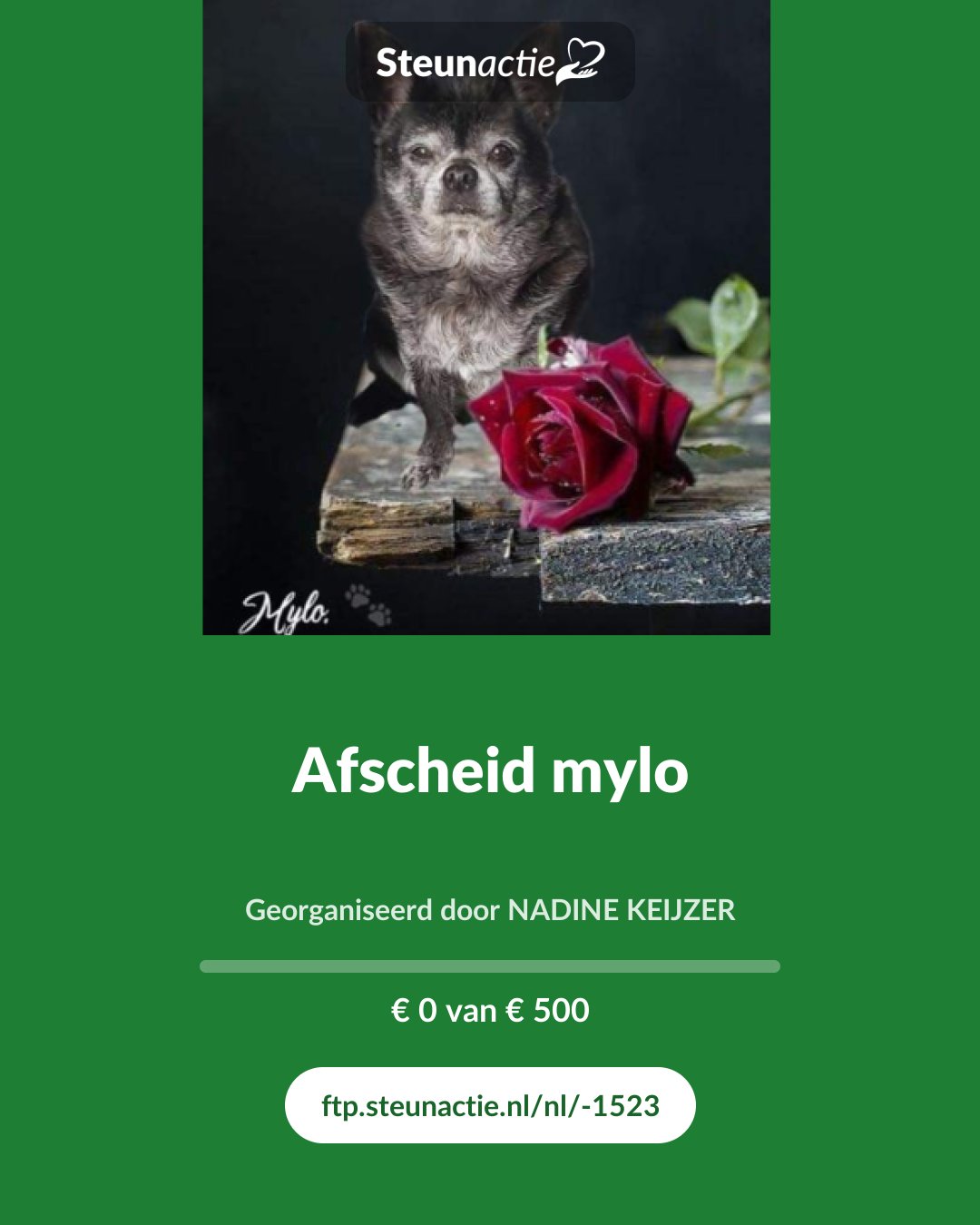 Voorbeeld van de afbeelding