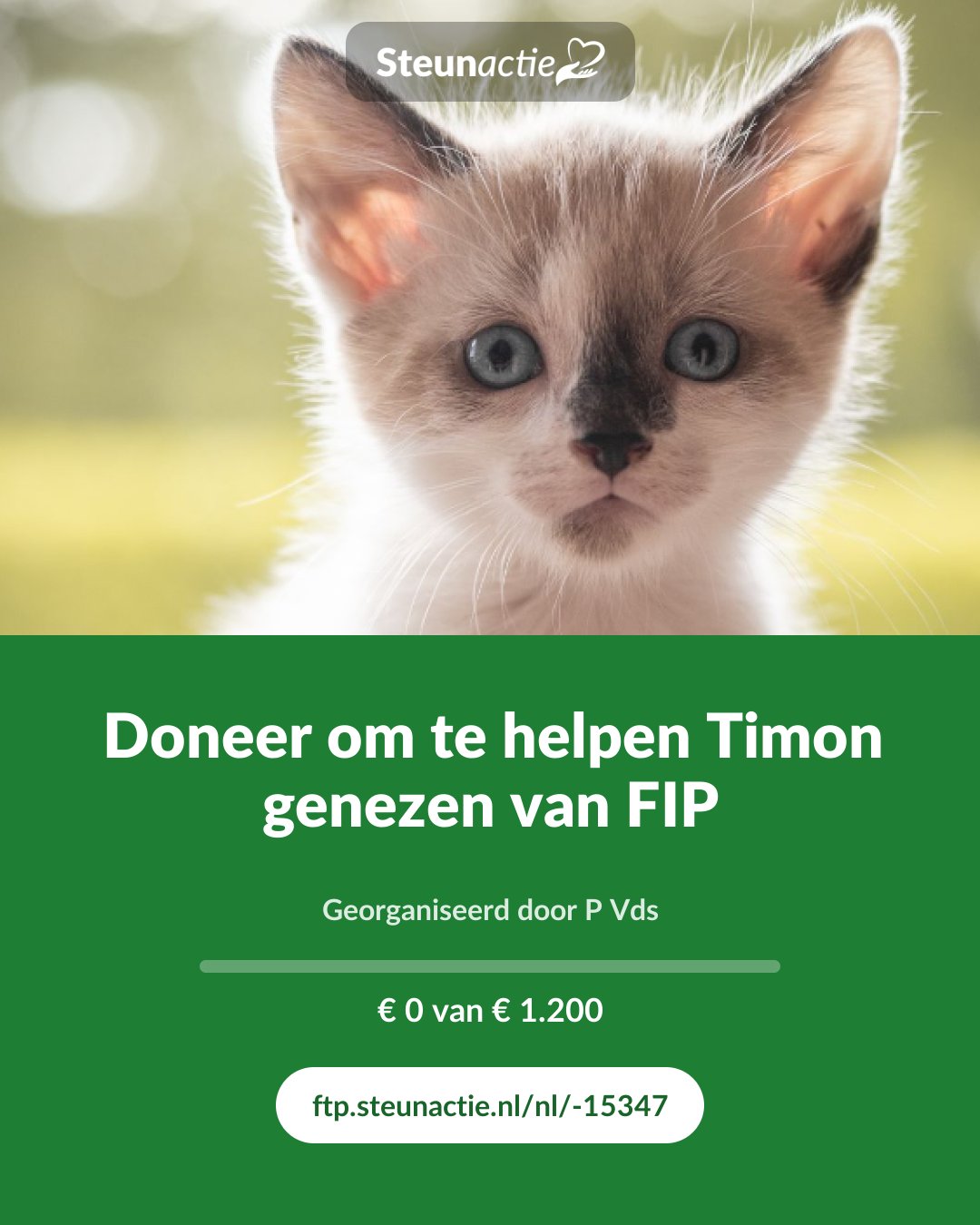 Voorbeeld van de afbeelding