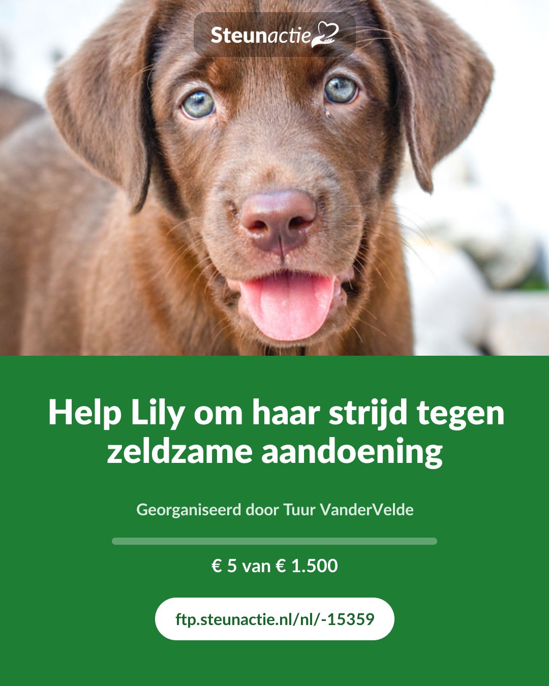 Voorbeeld van de afbeelding