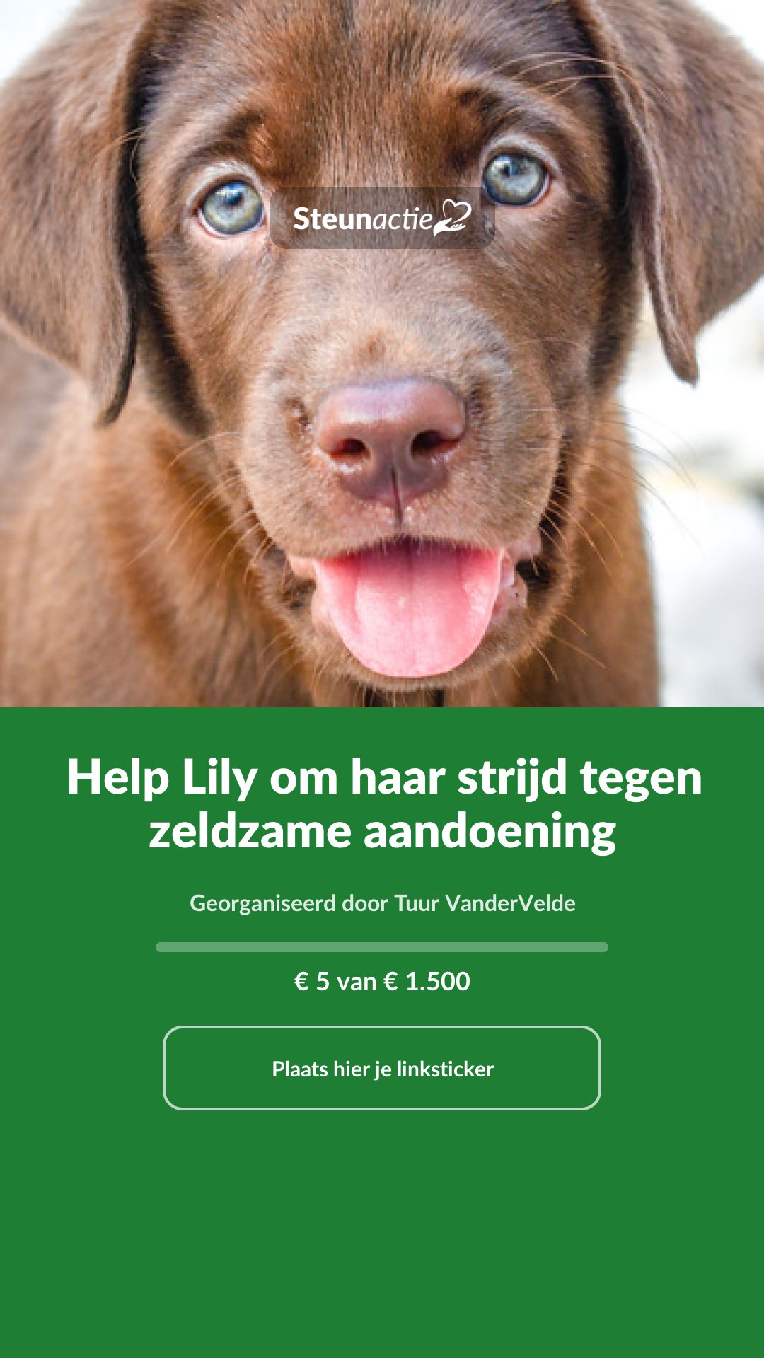 Voorbeeld van de afbeelding