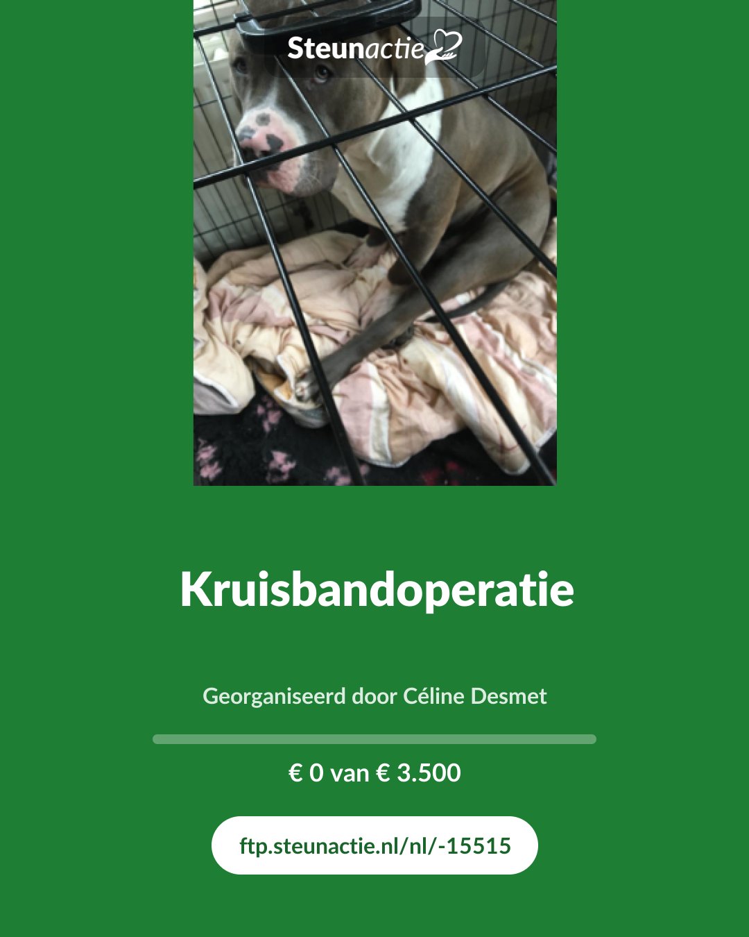 Voorbeeld van de afbeelding