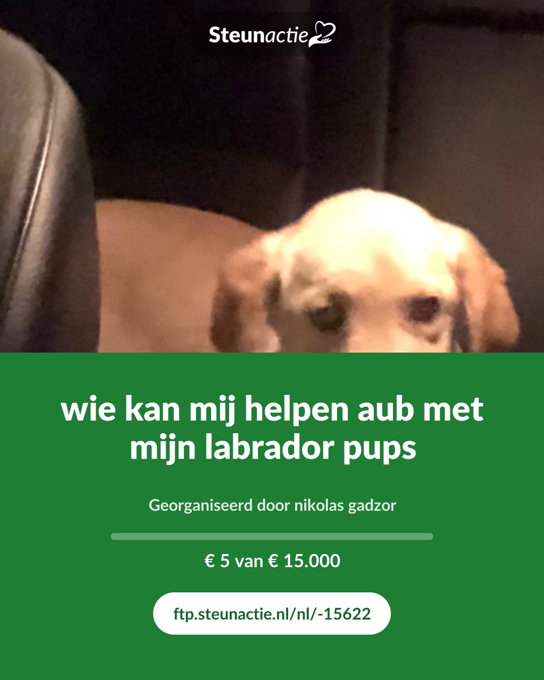 Voorbeeld van de afbeelding