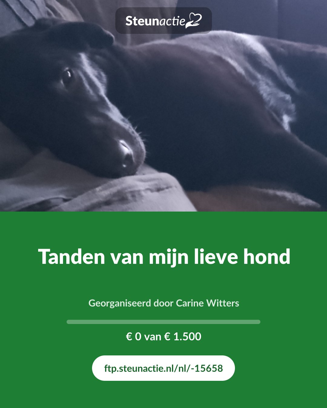 Voorbeeld van de afbeelding