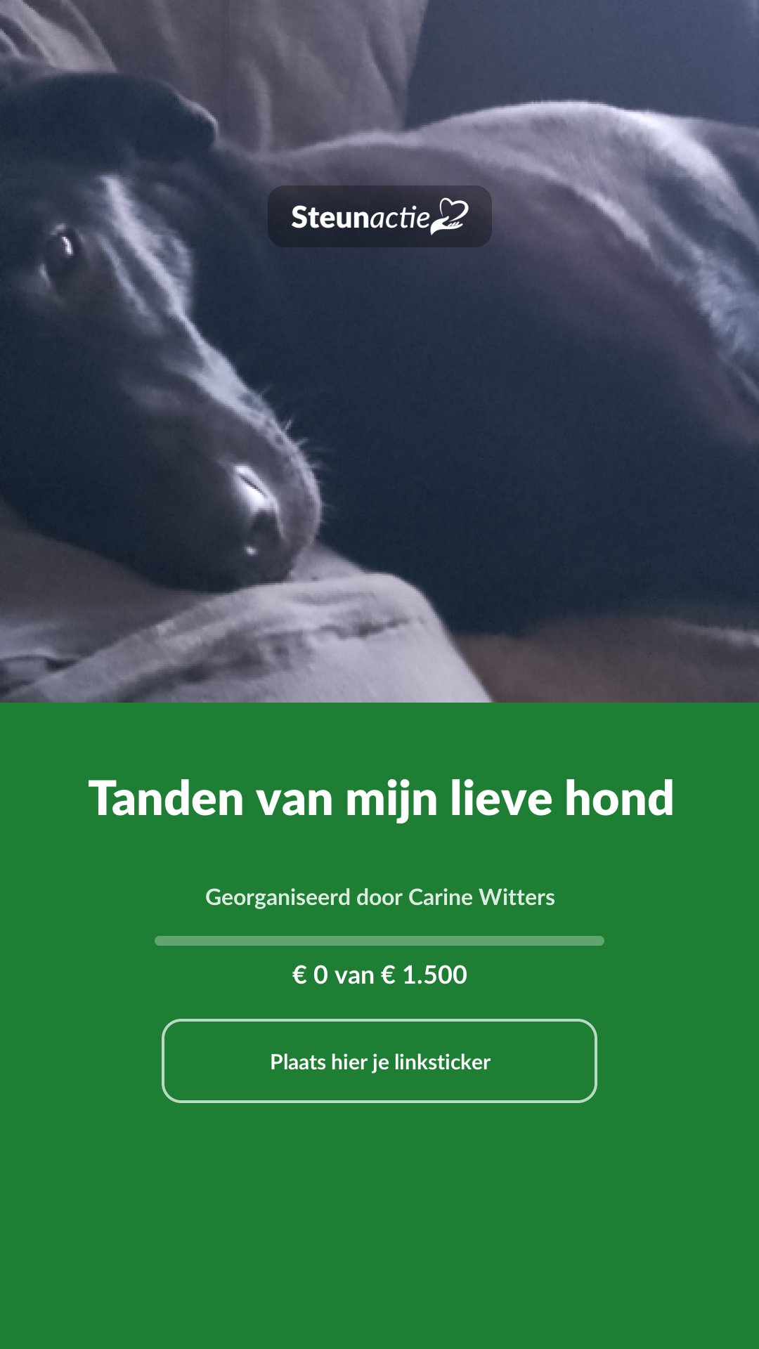 Voorbeeld van de afbeelding