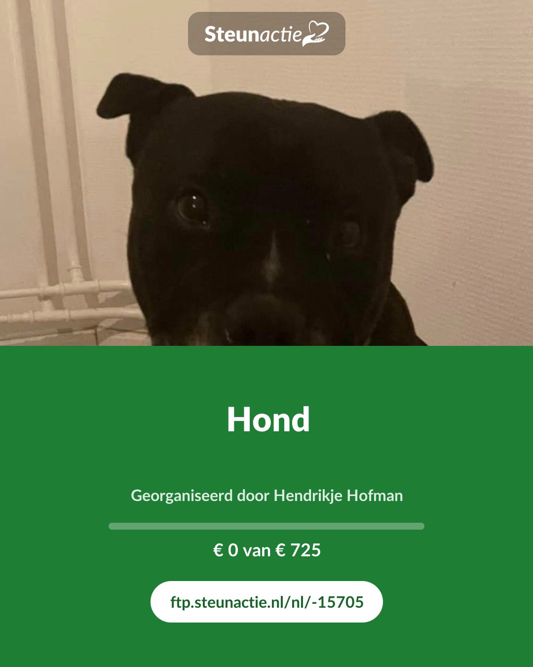 Voorbeeld van de afbeelding