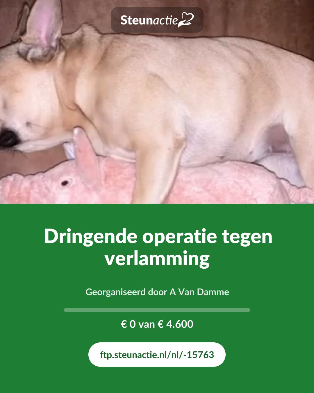 Voorbeeld van de afbeelding