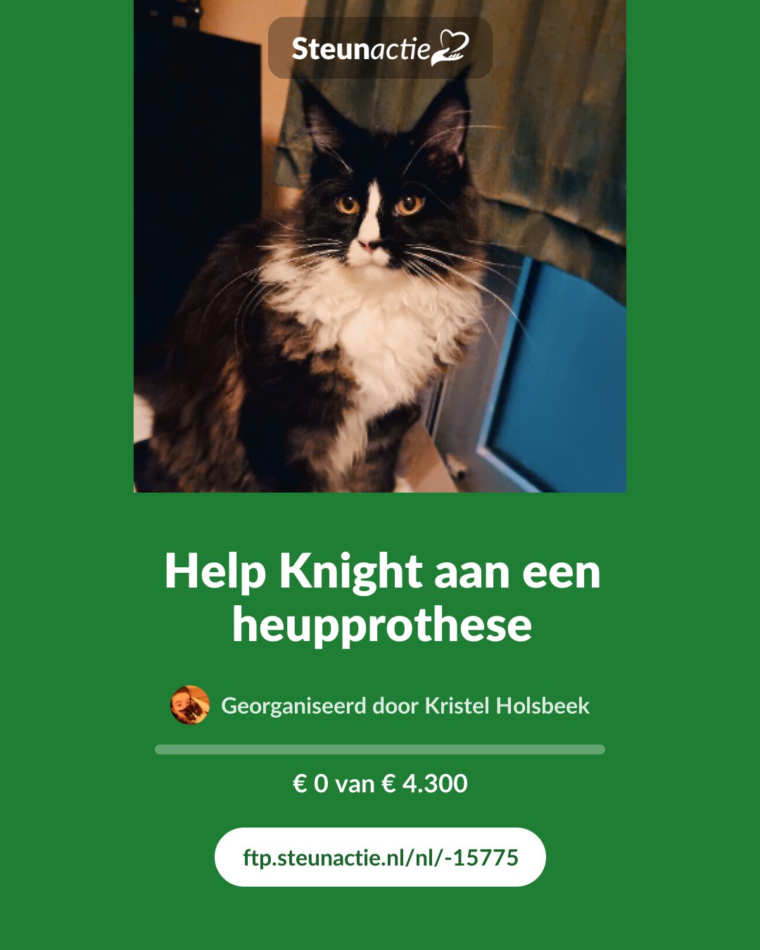 Voorbeeld van de afbeelding