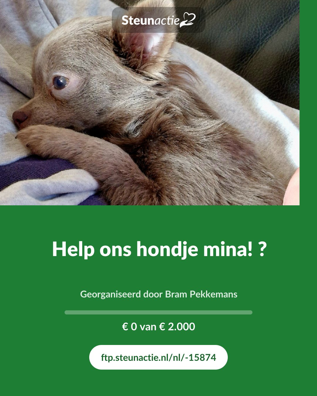 Voorbeeld van de afbeelding