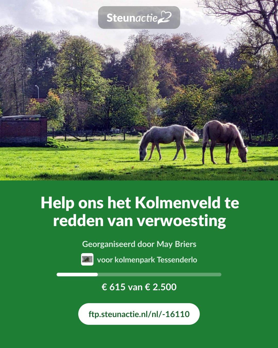 Voorbeeld van de afbeelding