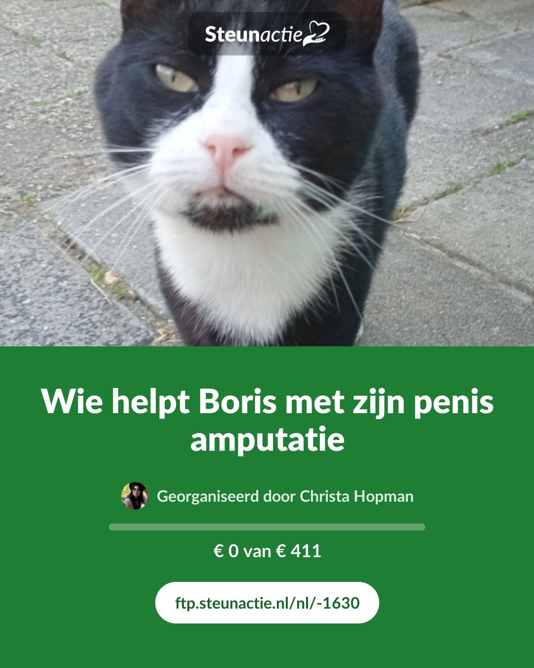 Voorbeeld van de afbeelding