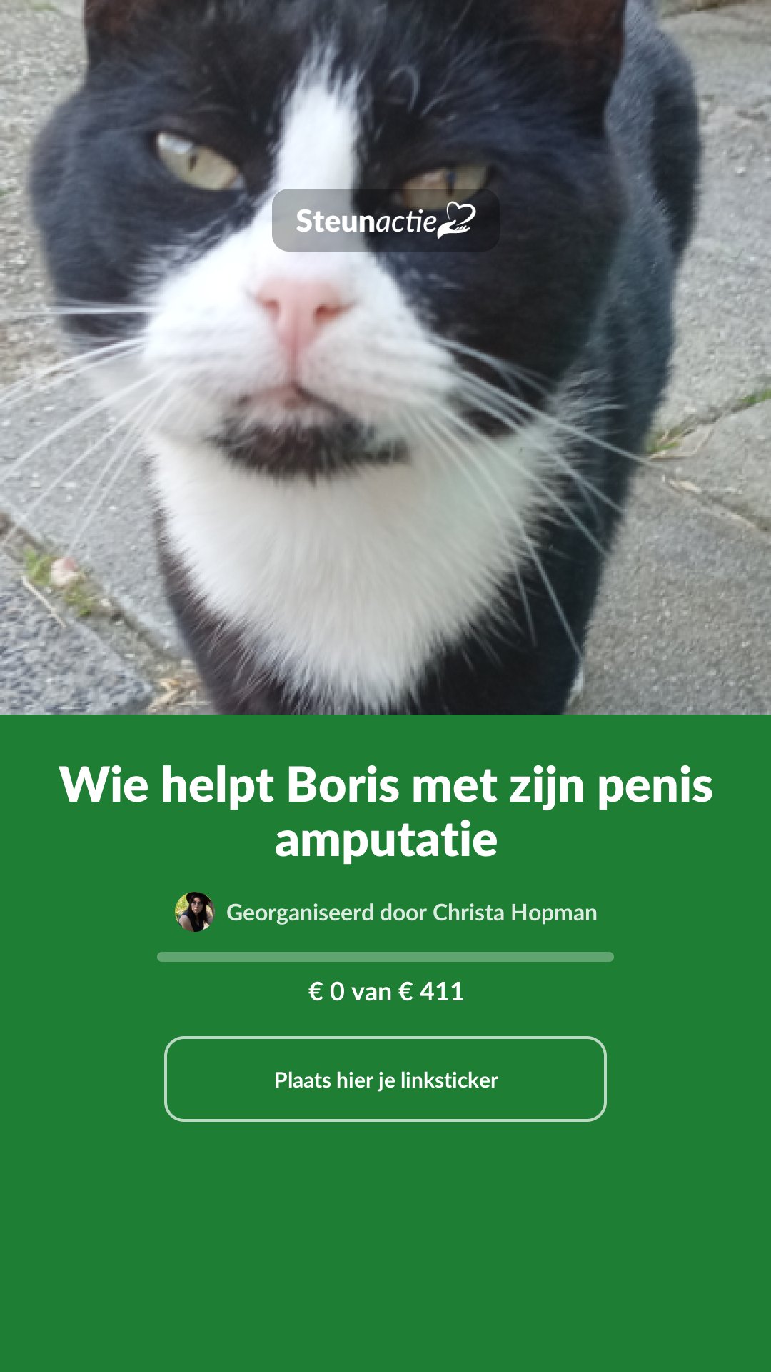 Voorbeeld van de afbeelding
