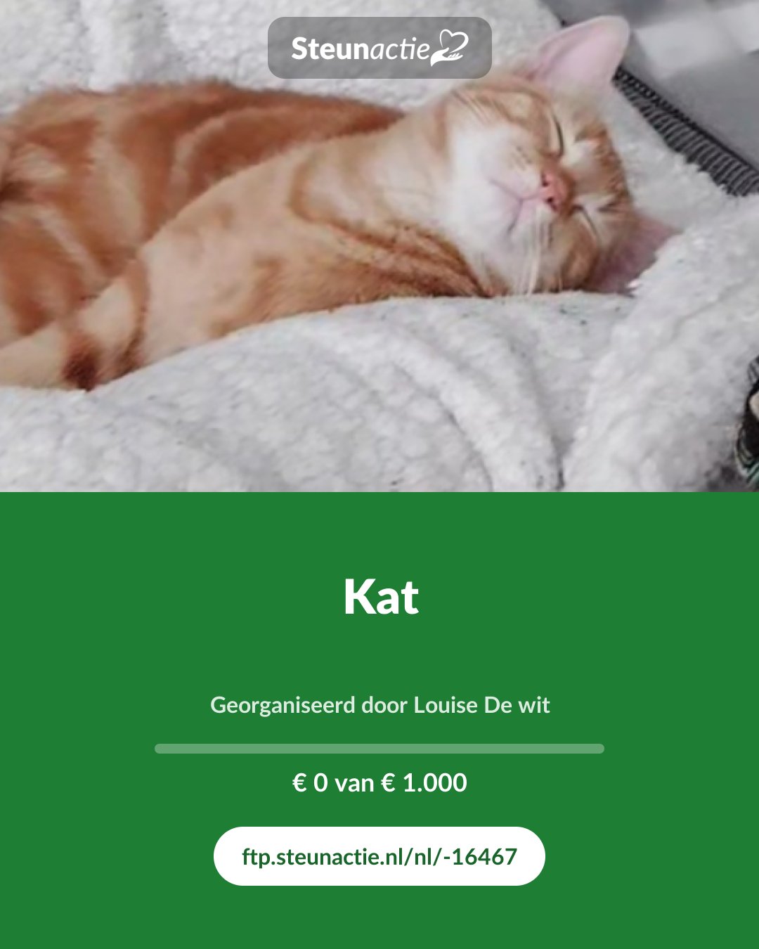 Voorbeeld van de afbeelding