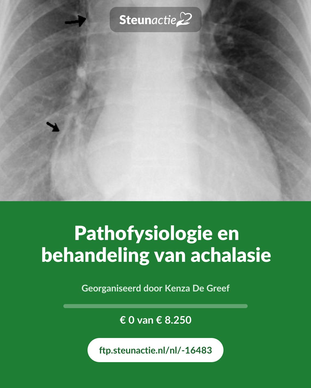 Voorbeeld van de afbeelding