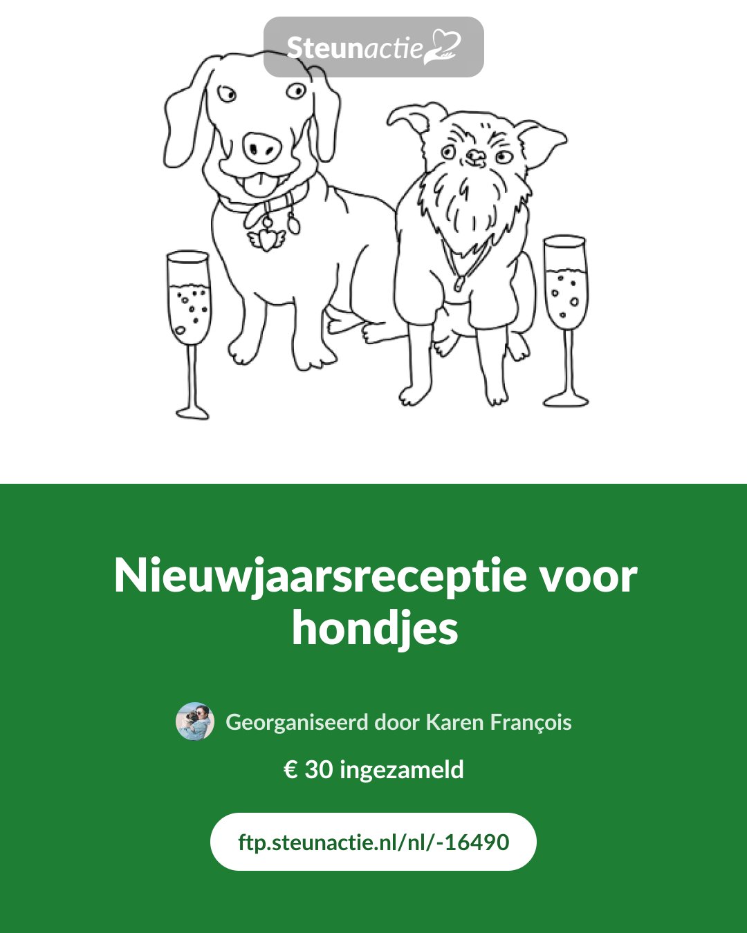 Voorbeeld van de afbeelding