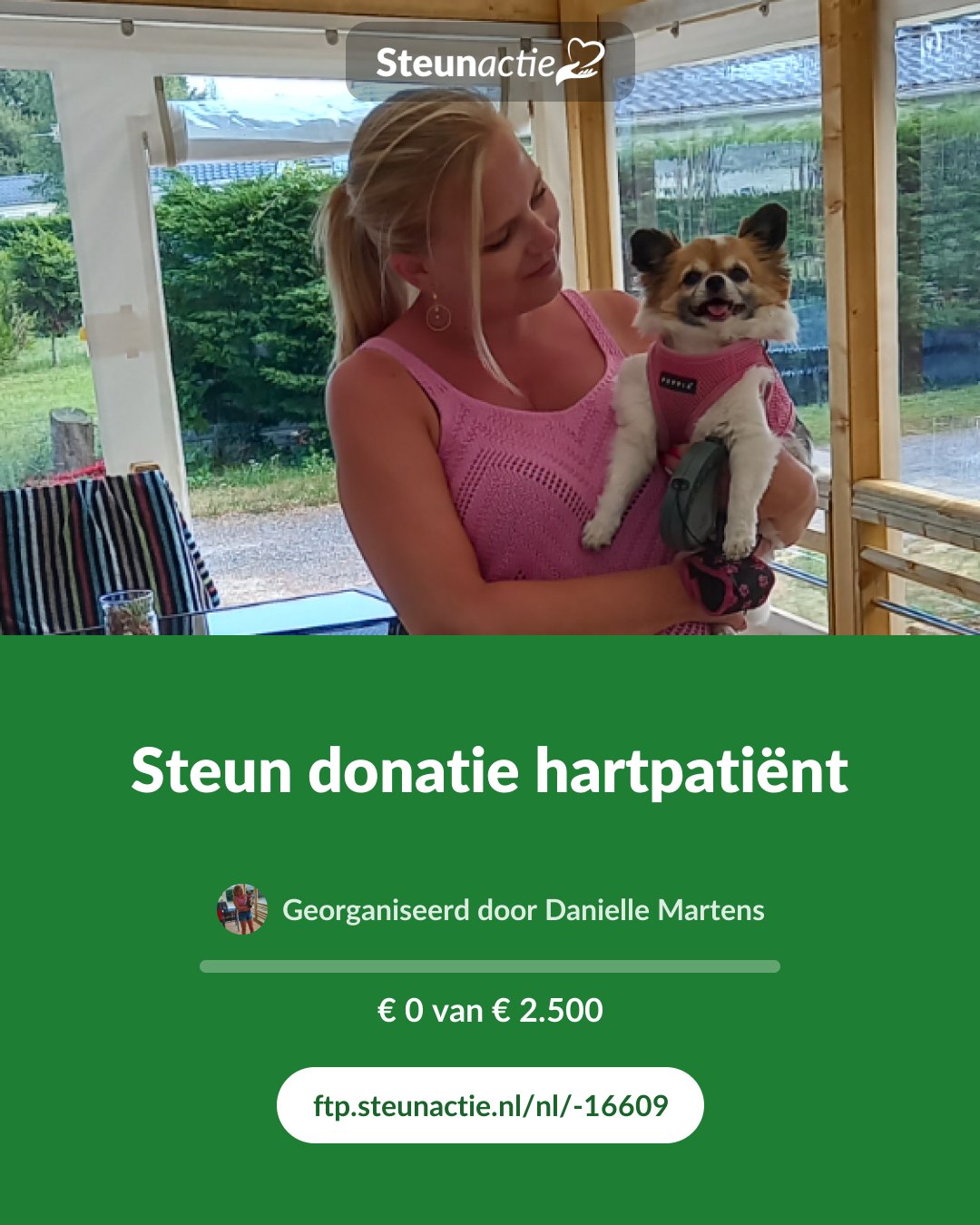 Voorbeeld van de afbeelding