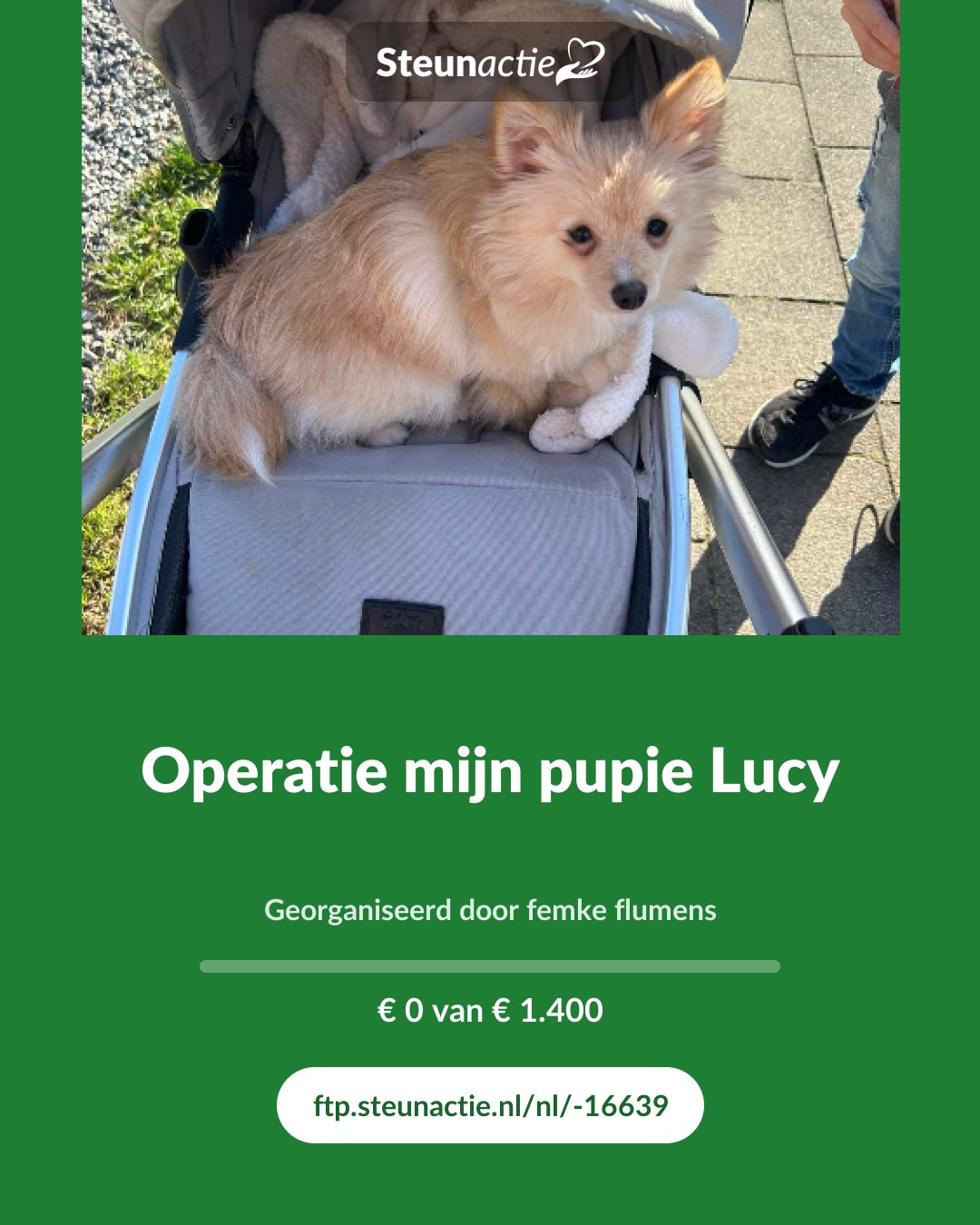 Voorbeeld van de afbeelding