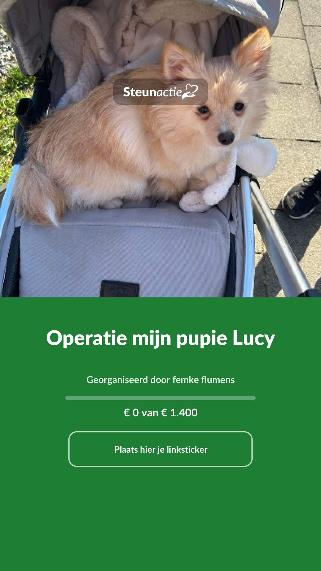 Voorbeeld van de afbeelding