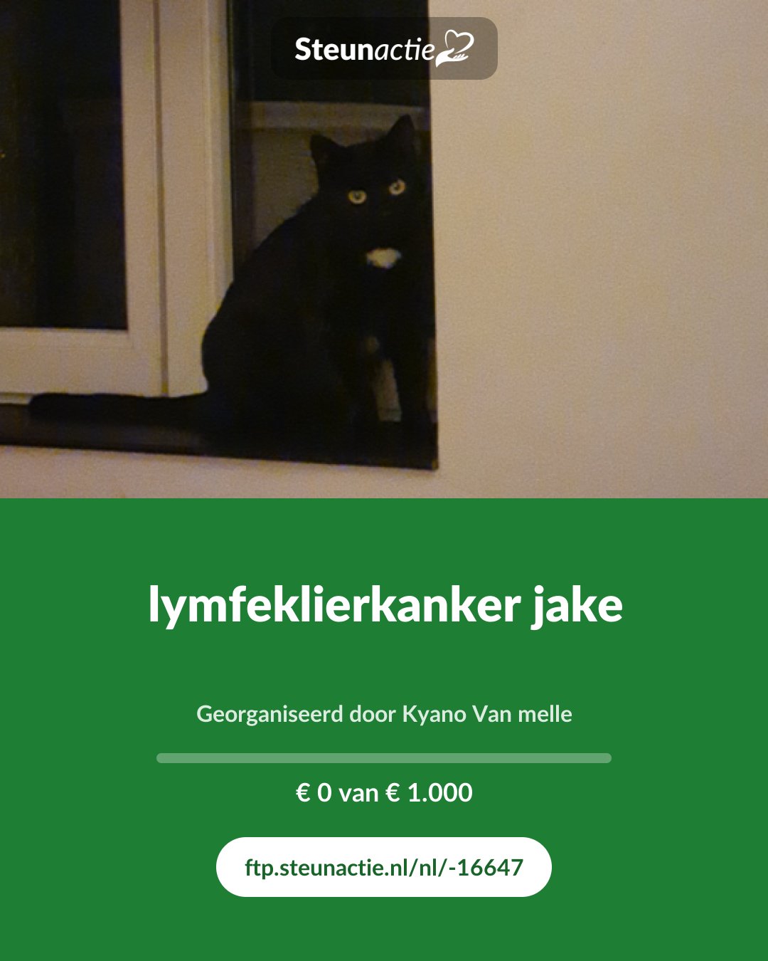 Voorbeeld van de afbeelding
