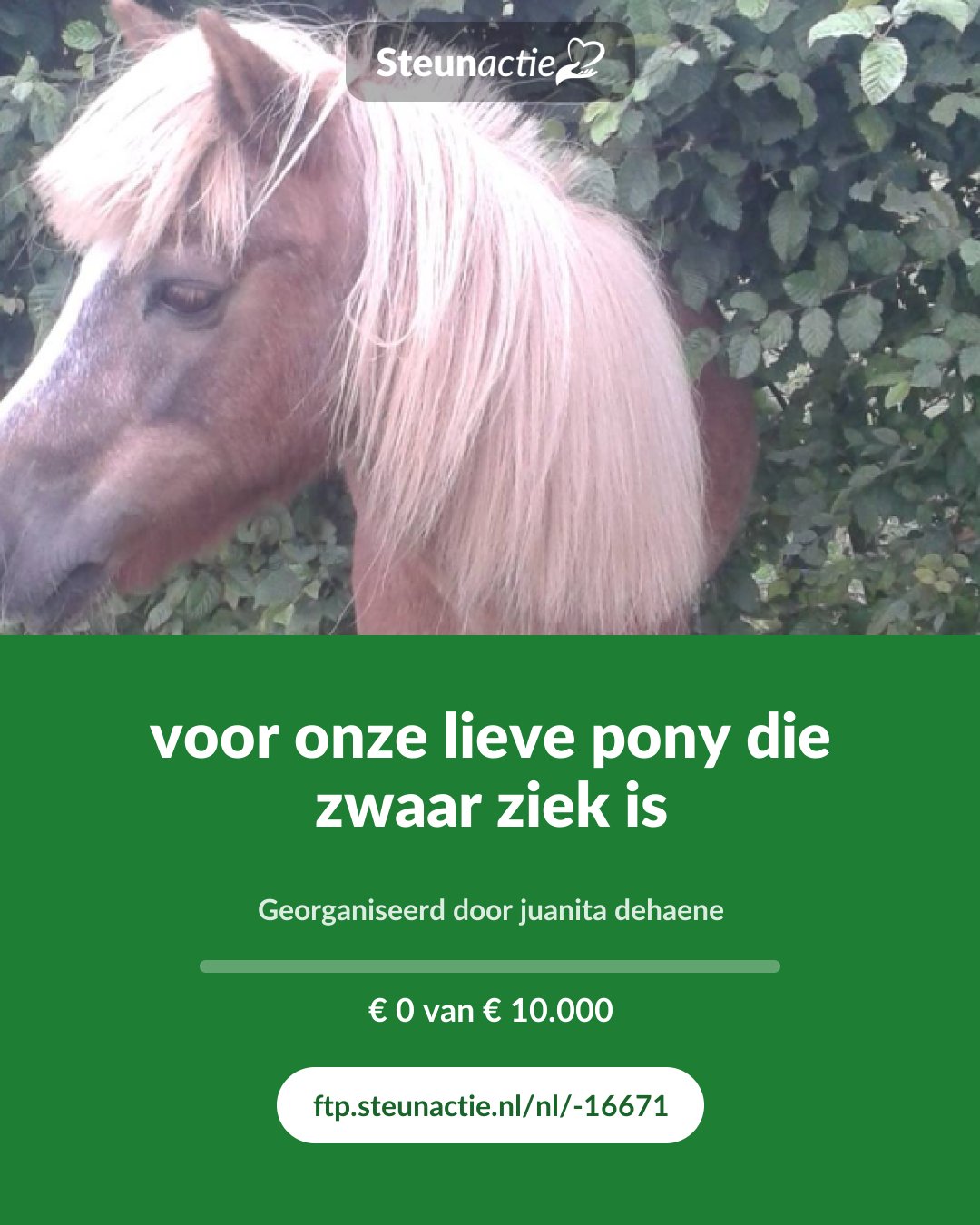 Voorbeeld van de afbeelding