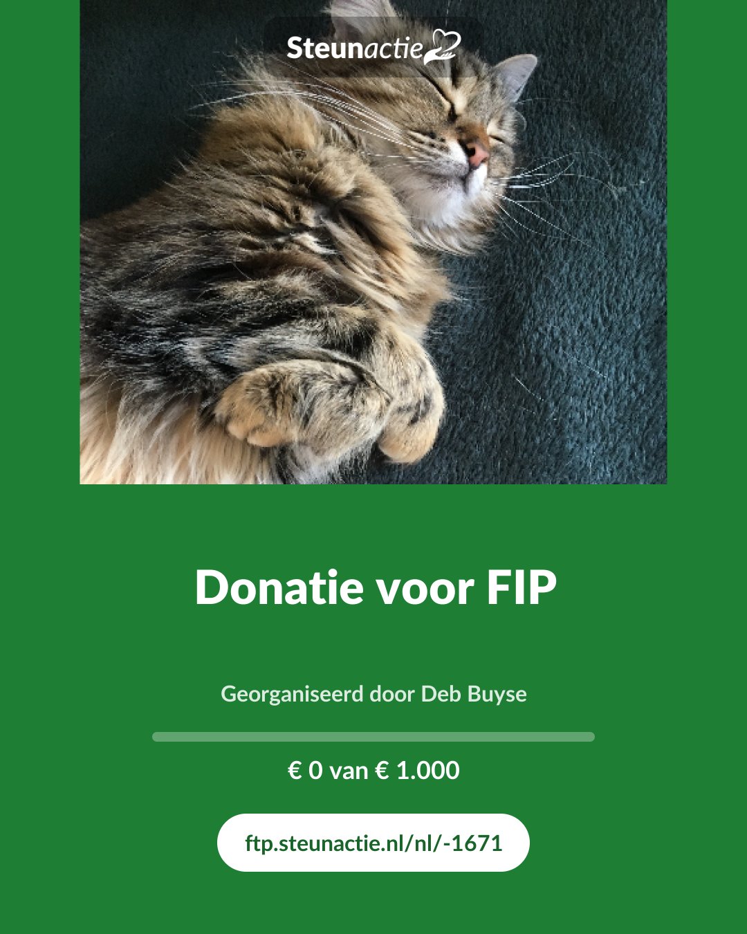 Voorbeeld van de afbeelding