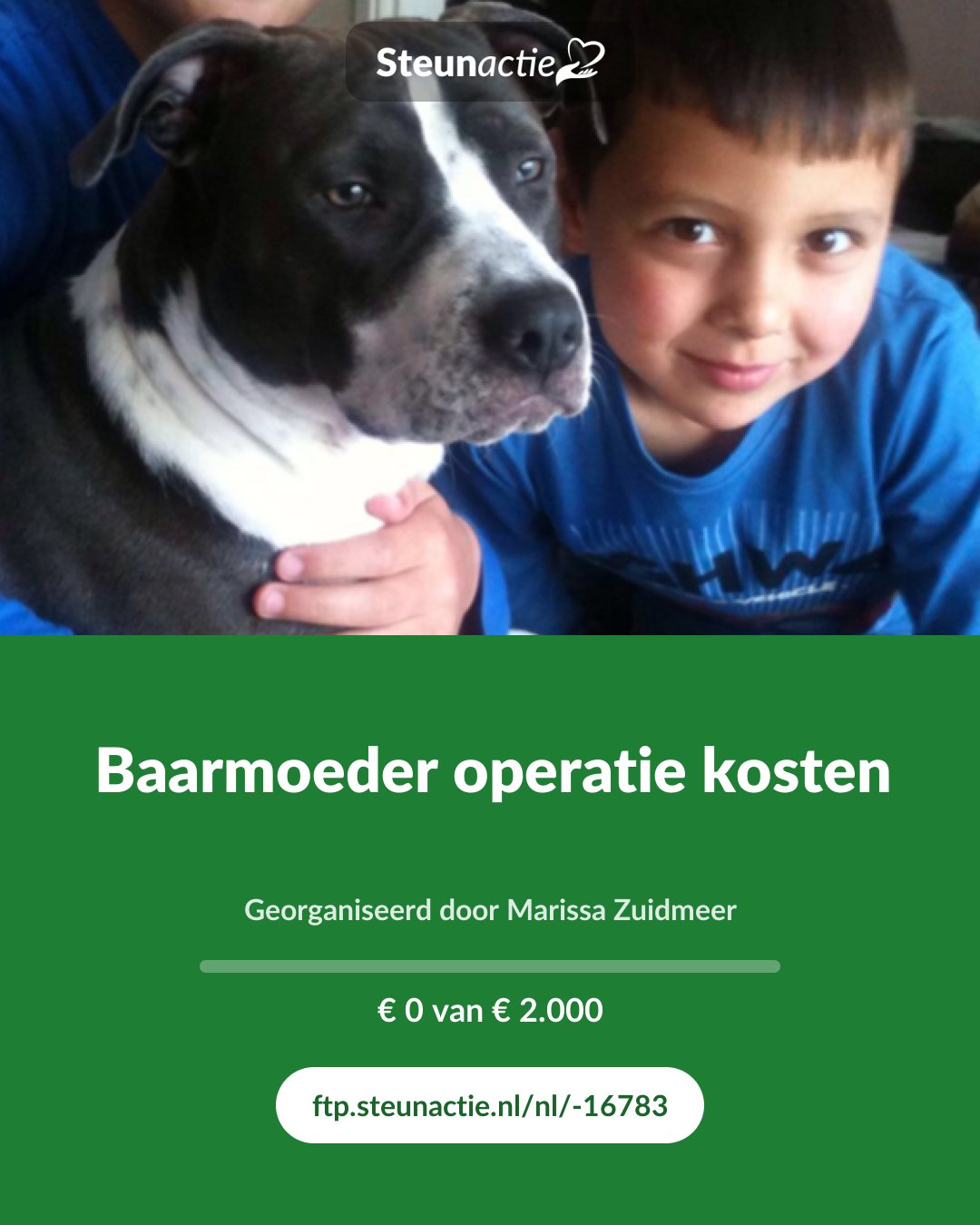 Voorbeeld van de afbeelding