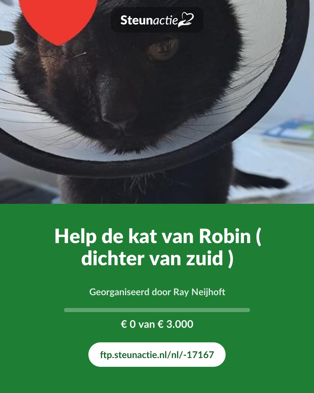 Voorbeeld van de afbeelding