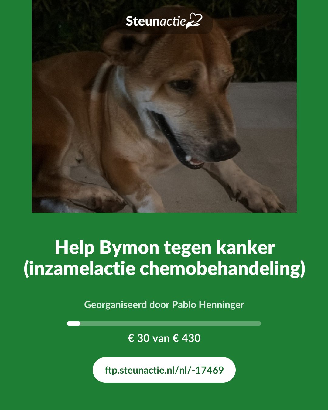 Voorbeeld van de afbeelding