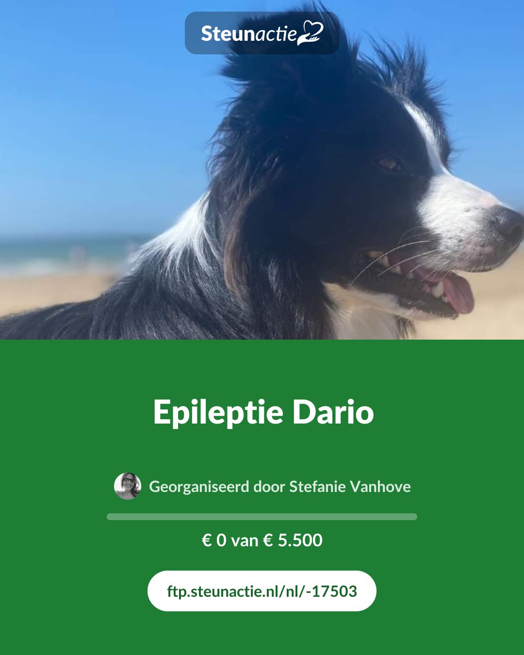 Voorbeeld van de afbeelding