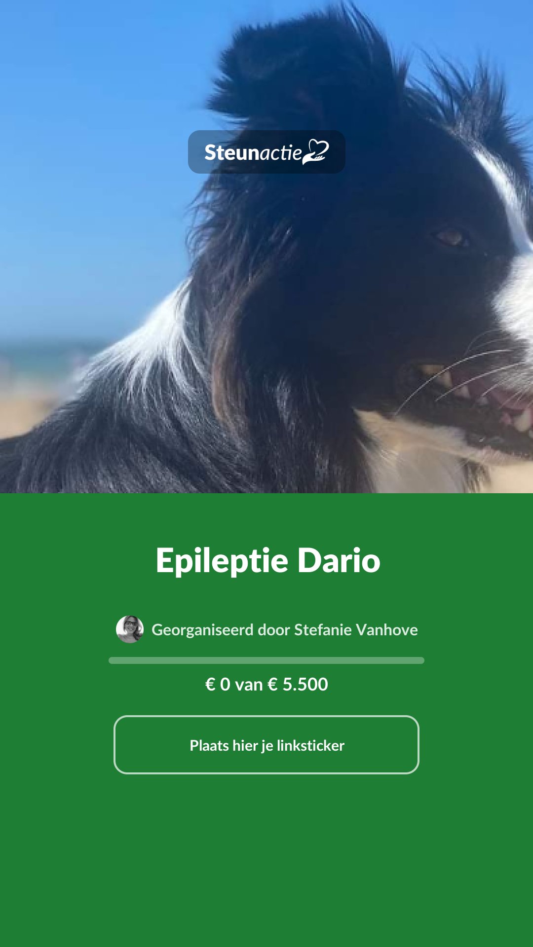Voorbeeld van de afbeelding