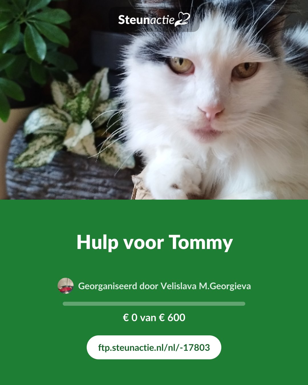 Voorbeeld van de afbeelding