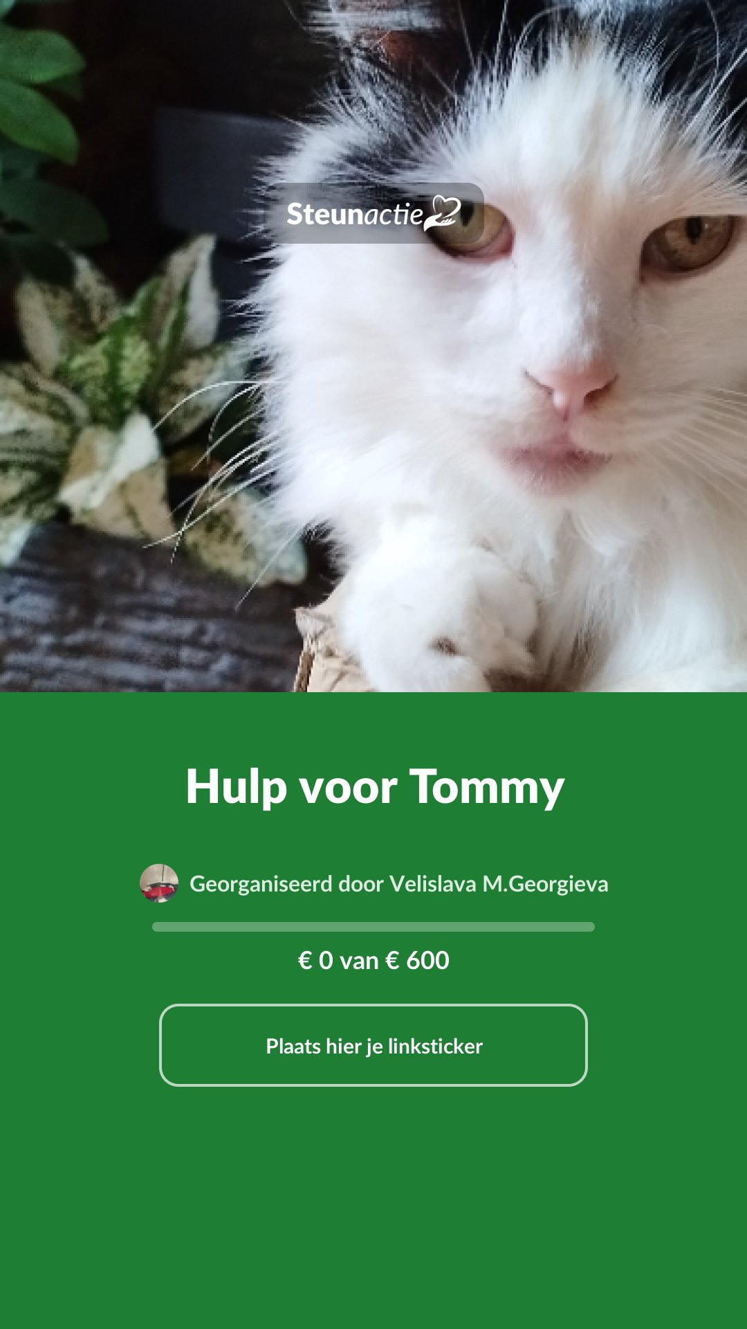 Voorbeeld van de afbeelding