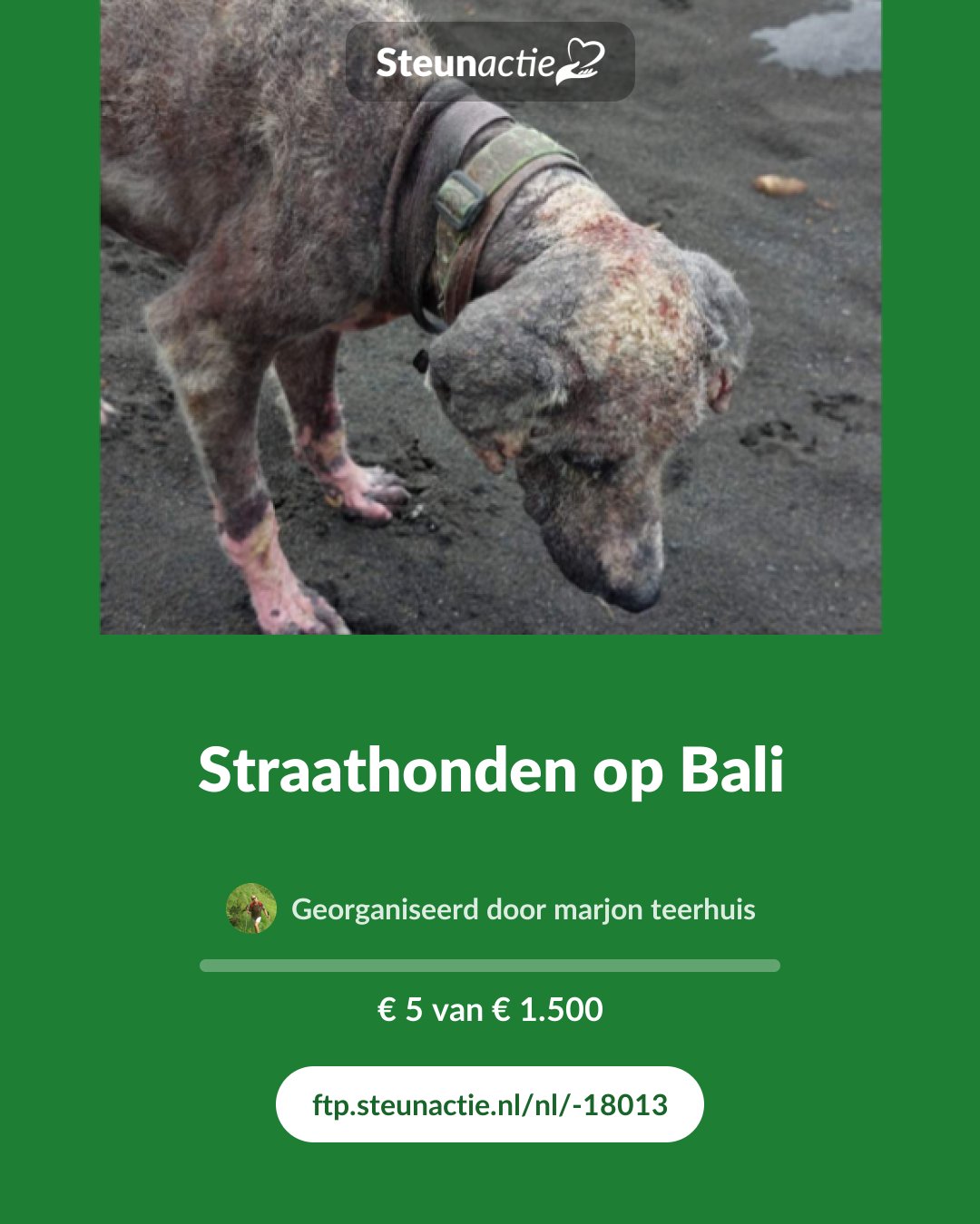 Voorbeeld van de afbeelding