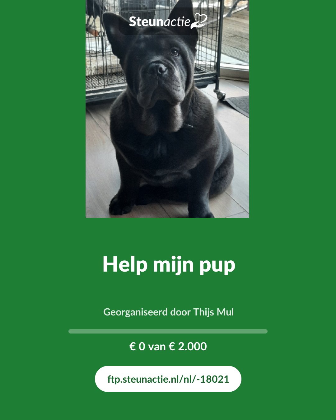 Voorbeeld van de afbeelding