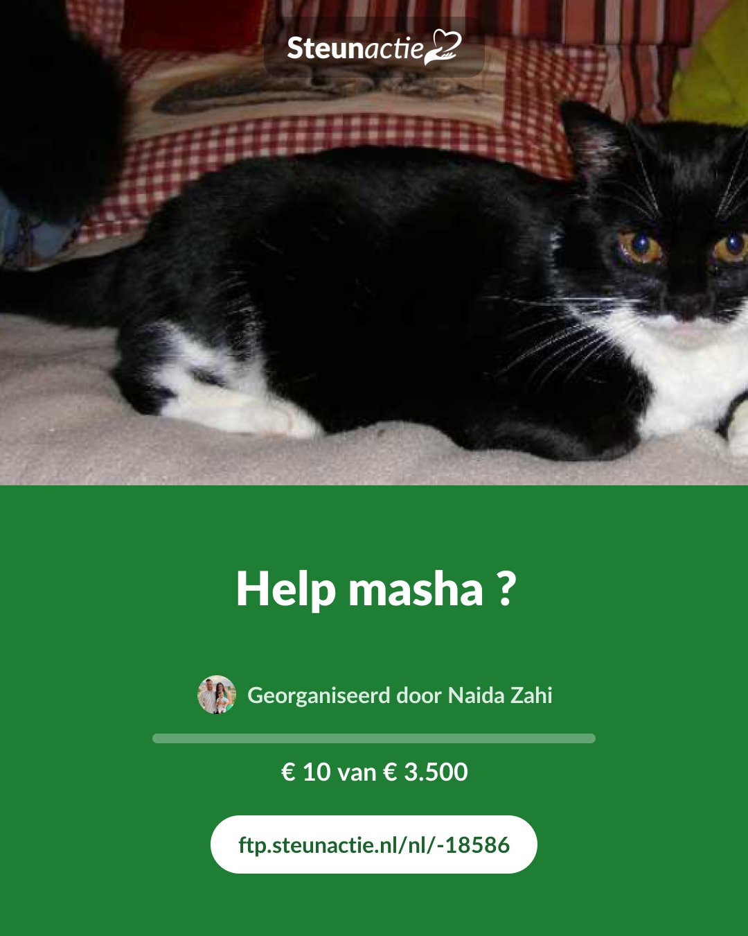Voorbeeld van de afbeelding