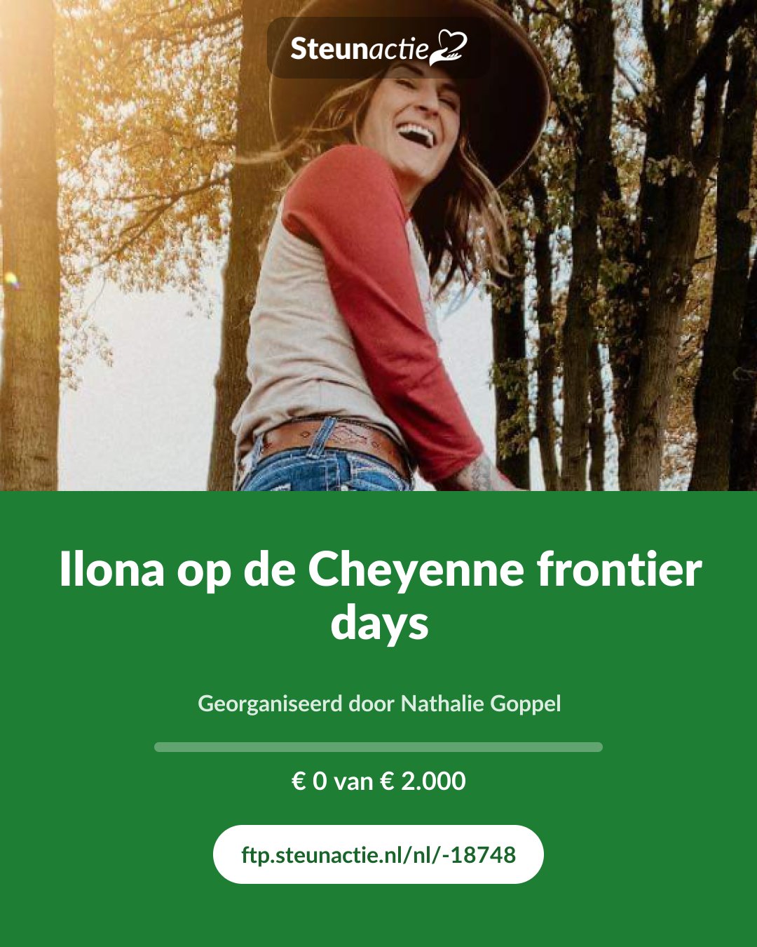 Voorbeeld van de afbeelding