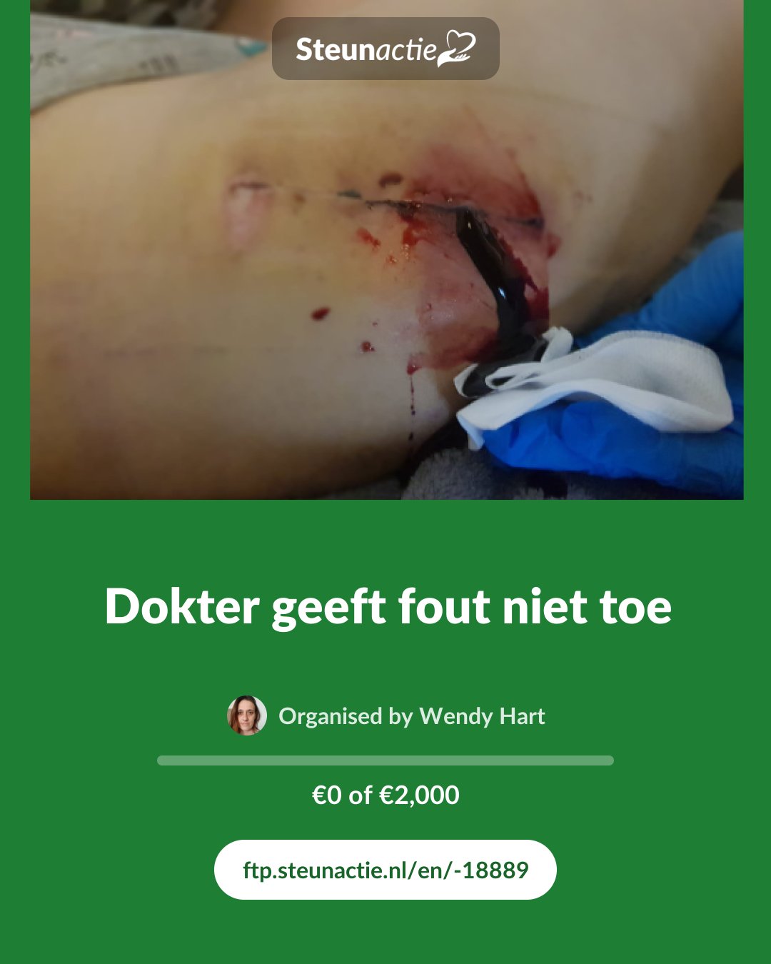 Preview of the image
