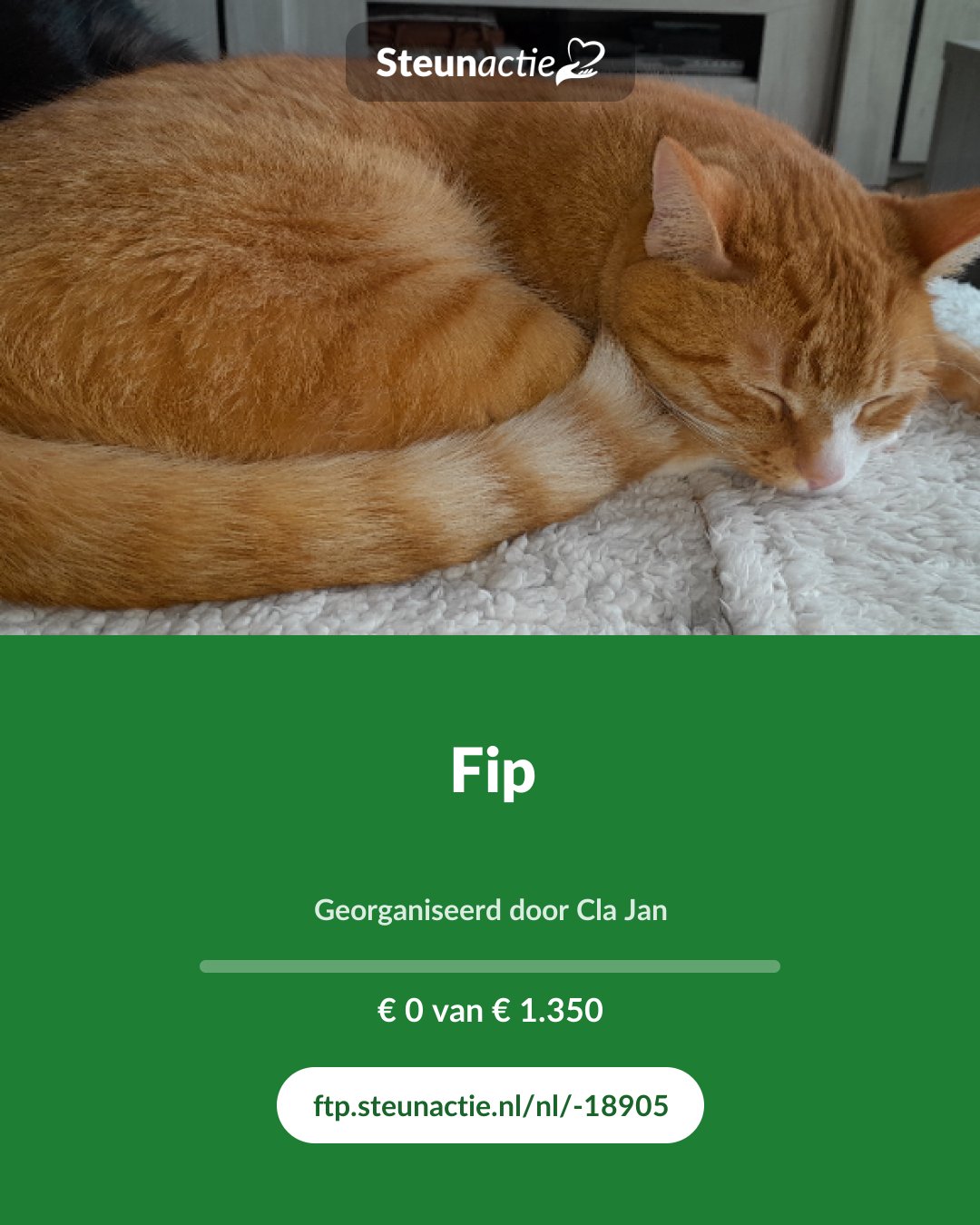 Voorbeeld van de afbeelding