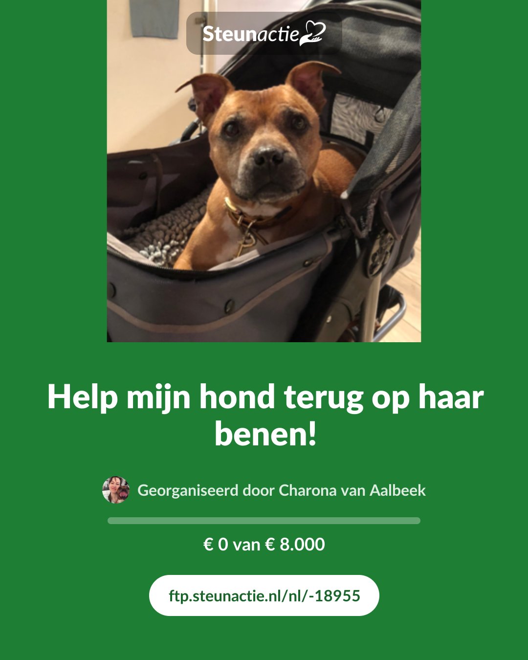 Voorbeeld van de afbeelding
